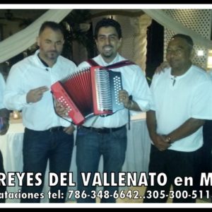 Reyes del Vallenato — Boda en Miami